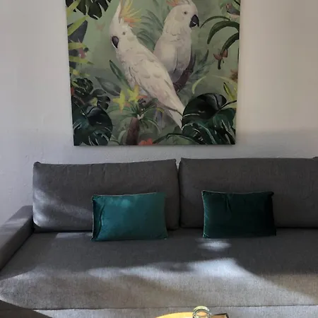 بيت ضيافة Casa Mallarenga Olivella