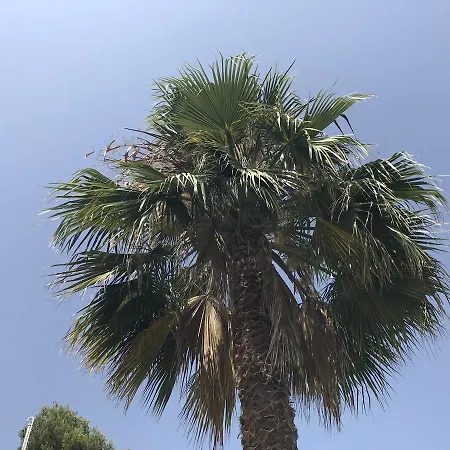 Casa Mallarenga بيت ضيافة Olivella